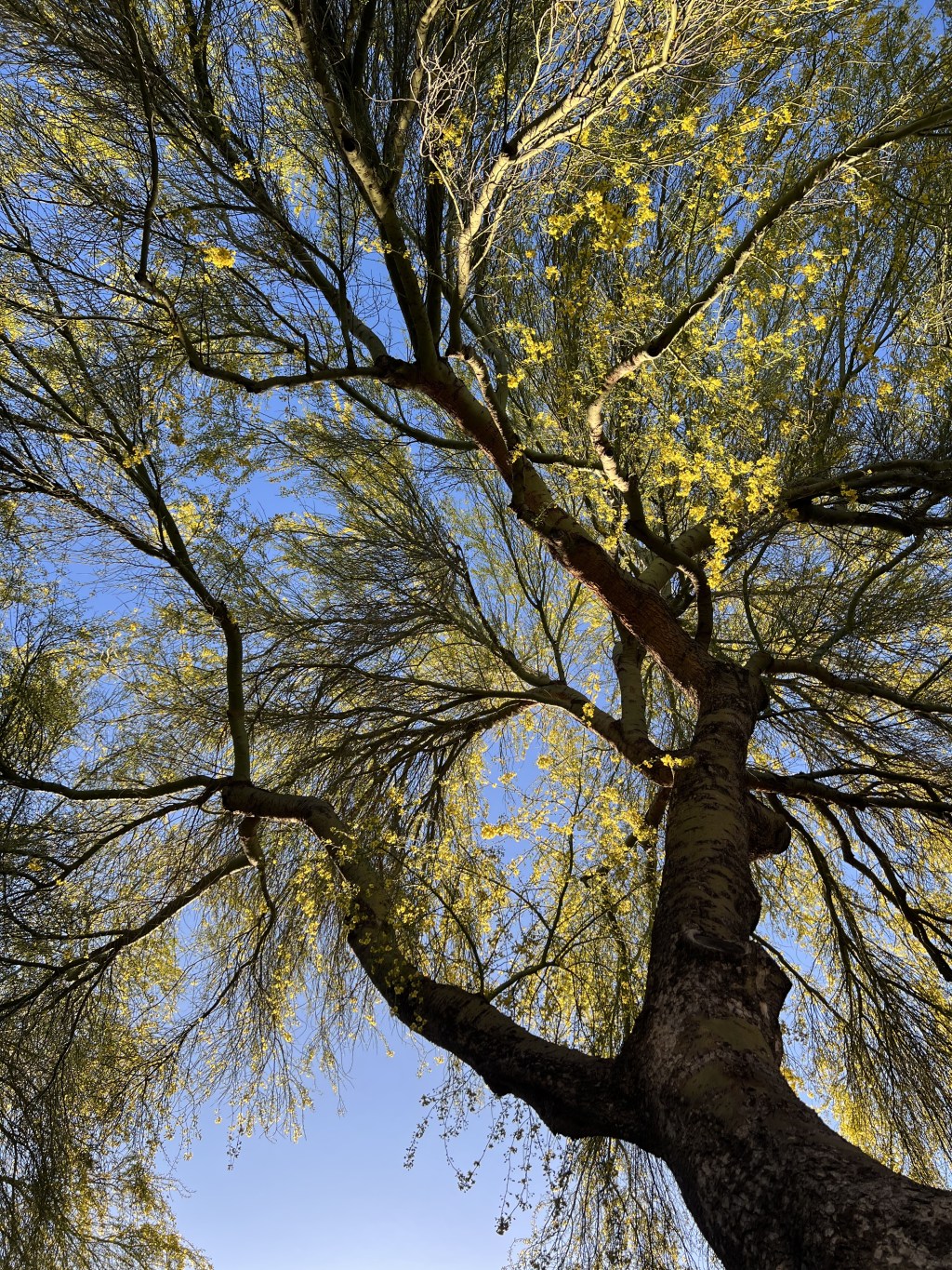 Am I my Grandma? Or Do I Have a&nbsp;Choice?